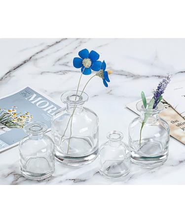 150 ml Empty Glass Diffuser Bottle - Aromatherapy Storage Container for DIY Reed Diffuser Sets | Fragrance Accessories - Buy Online on GoSupps.com