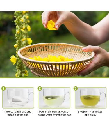 Mullein Leaf Tea - Respiratory and Lung Cleanse Herbal Tea | 40 Tea Bags, Caffeine-Free - Buy Online on GoSupps.com