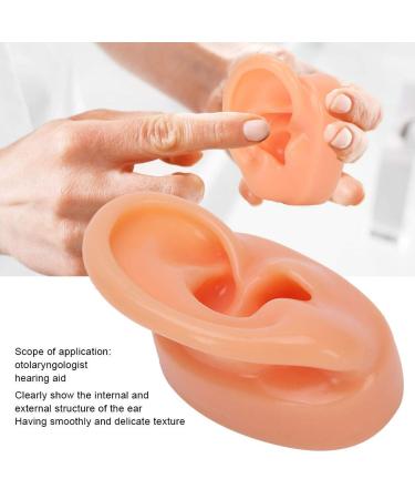 Silicone Right Ear Model for Hearing Aids | Flexible & Soft Simulation Display Ear - Buy Online on GoSupps.com