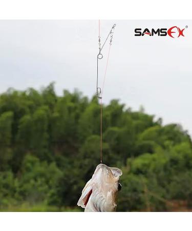 SAMSFX Fishing Spring Hook Emergency Kit - 3PCS with 50M Test Line, 50PCS Baitholder Hooks (3#-12#) | Small Size - Buy Online on GoSupps.com