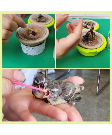 Baby Bird Gouldian Zebra Finch Canary Society Bird Pet Hand Rearing Feeding Syringes Crop Tubes (9Pcs) - Buy Online on GoSupps.com