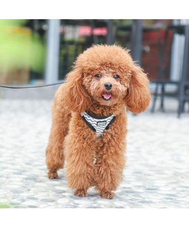 Suredoo Anti-Train Reflective Dog Harness & Leash for Small Dogs XS White Wave Perfect for Pets & Puppies - Buy Online on GoSupps.com