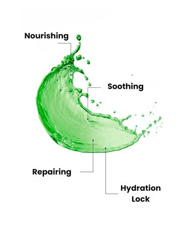 Agarta Ozonated Olive Oil Botanical Skin & Body Care Oil for Daily Use Vegan Clean Formula 3.38 fl oz - Buy Online on GoSupps.com