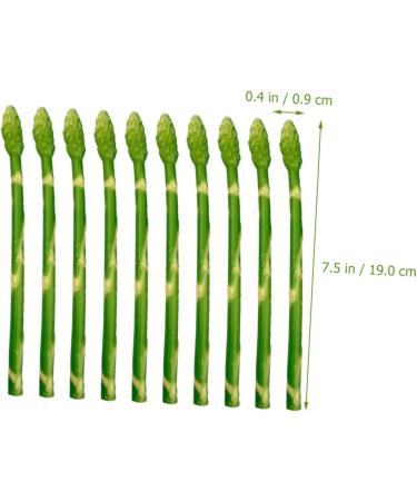 HOMSFOU 40 Pcs Simulated asparagus ornaments rustic decor plastic flower vase cabinet decor vegetable fruit ornament decorative vegetables lifelike Simulated Asparagus Models cupboard fake - Buy Online on GoSupps.com