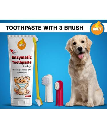 Boltz Enzymatic Toothpaste for Dogs 100gm with 3 Toothbrush with Mint Fragrance - Buy Online on GoSupps.com