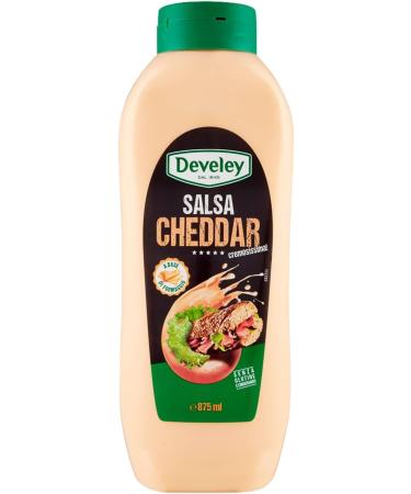  Italian Gourmet E.R. Develey Salsa Gluten Free Cheddar Sauce Set of 4 870ml + 400g - Buy Online on GoSupps.com