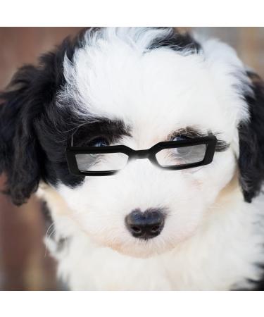 Shop PopetPop Transparent Glasses for Dogs & Puppies - Portable Sunglasses Fun Outfits & Cosplay Accessories - Buy Online on GoSupps.com