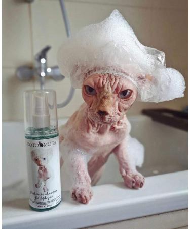 Kotomoda Probiotic Shampoo for Sphynx Cats - 8.45 oz | Best International Shipping - Buy Online on GoSupps.com