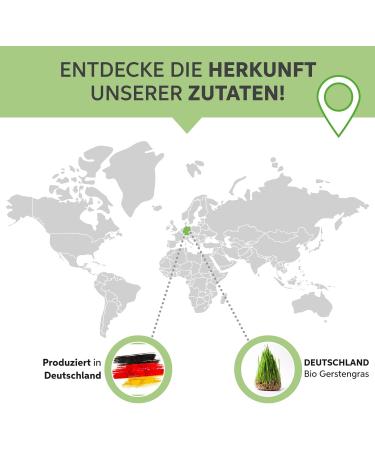 Organic Barley Grass Powder 1000g | Pure & Additive-Free | DE-KO-007 | German Cultivation - Buy Online on GoSupps.com