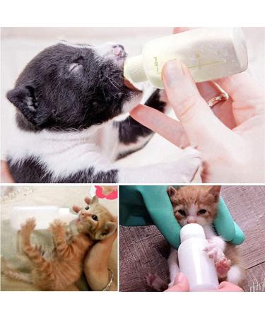 Onebarleycorn 60ml Rearing Bottle - Puppy Milk & Kitten Nursing Bottle for Dog & Cat Breeding - Buy Online on GoSupps.com