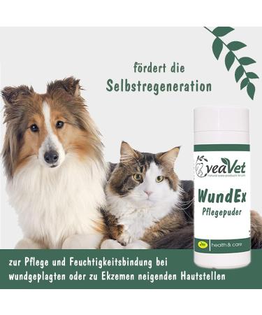 Veavet Woundex Nursing Powder 15g | Fast International Shipping & Quality Care - Buy Online on GoSupps.com