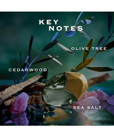 Orebella Salted Muse Parfum 100 ml (3.4 fl oz) - Buy Online on GoSupps.com