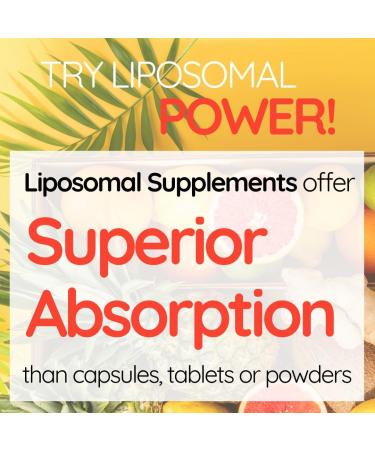 Well Actually Liposomal Vitamin B Complex High Strength and Bioavailability8 Essential B Vitamins Complex for Energy 50 Servings - Buy Online on GoSupps.com