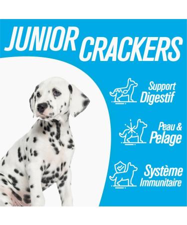 Iso dog - Premium Croquettes for Puppies and Young Dogs of Small to Medium Breeds - Gluten-free - Optimal digestion - Rich in Chicken - 100% Natural raw materials (12kg) - Buy Online on GoSupps.com