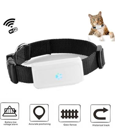 Buy Winnes Dog GPS Tracker TK911 - Waterproof Real-Time Tracking & Geofencing for Small Pets - No Subscription Required - Buy Online on GoSupps.com