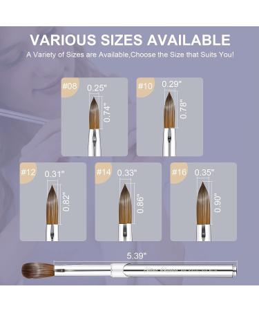 Shine Chance Acrylic Nail Art Brush Size 8 - 100% Pure Kolinsky Hair Oval Nail Brush for Professional Acrylic Application and Manicure - DIY Home Salon Tool - Buy Online on GoSupps.com