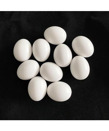 10Pcs Plastic Eggs - Simulated Bird Eggs for Parrots & Racing Pigeons | Bird Supplies Worldwide Shipping - Buy Online on GoSupps.com