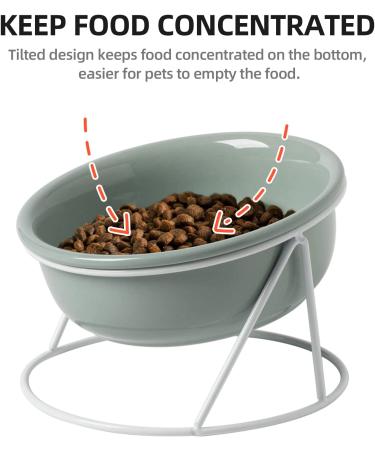 Havniva Ceramic Tilted Cat Bowl - Medium Light Green | Elevated Pet Food and Water Bowl - Buy Online on GoSupps.com