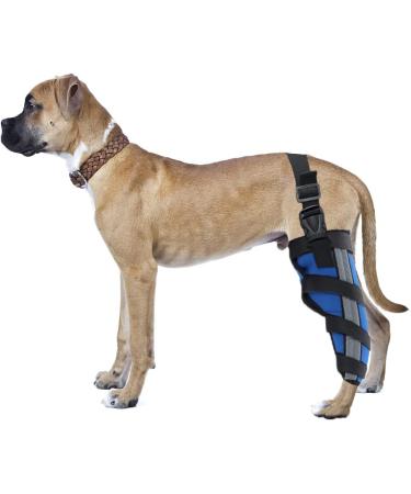 Dog Back Leg Support Dog Elbow Knee Brace Help Help Dog Keep The Joint Stable Pet Dog Hind Legs Protector|Blue (Left Leg M) left leg M - Buy Online on GoSupps.com