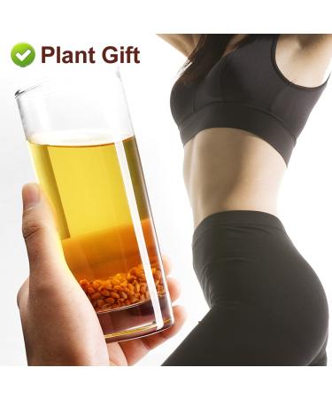Buy PlantGift Barley Tea 200G - Caffeine Free Sugar Free Digestive Support & Fat Burning Mugicha - Buy Online on GoSupps.com