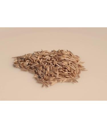 500 Seeds to sow Le Grenier d Abondance Appia Butter Lettuce Lactuca Sativa - Buy Online on GoSupps.com