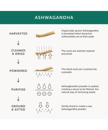 Organic KSM-66 Ashwagandha Roots Extract 30 Vegecaps | Vegan Friendly, UK Made | High Concentration Full Spectrum Formula | 100% Certified | Unflavoured - Buy Online on GoSupps.com