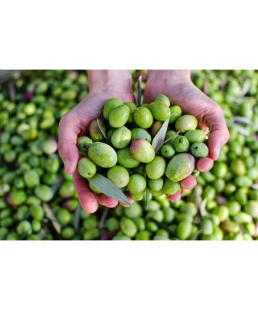  iOliva iOliva Extra Premium Virgin Olive Oil - Hojiwhite Variety - Early Recollection - Cold Extraction - Traditional Olivar - Natural Subbeetic Road Park - Buy Online on GoSupps.com