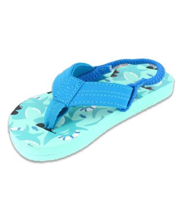 Beck Boys Sharky Bathing Shoes Clogs 29 EU Blue