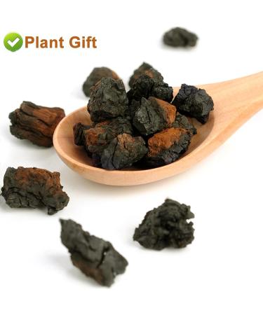 Raw Organic Wild Chagroom Tea Chunks 125g - 100% Natural Hand-Harvested Chaga Superfood (Inonotus Obliquus) for International Shipping - Buy Online on GoSupps.com