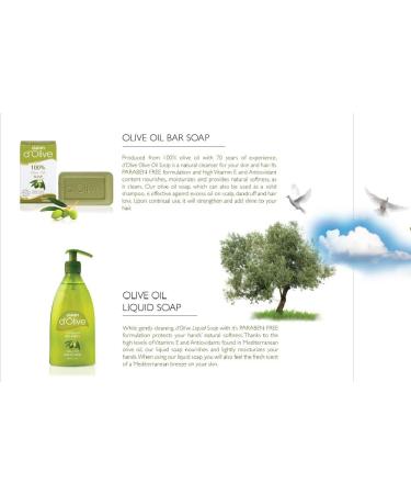 Dalan D'Olive Liquid Soap 0.31 kg 8690529002238 Olive Oil Green - Buy Online on GoSupps.com
