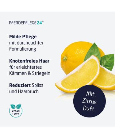 Horse Care24 Mane & Tail Spray for Horses 2.5L - Comparison Winner | Brilliant Shine Easy Combability & Healthy Fur - Available in 5 Sizes - Buy Online on GoSupps.com