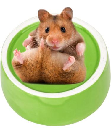 CAJHFIZHANGU 1pc Gradient Side Hamster Ceramic Bowl Hamster Food Bowl Ceramic Water Bowl Small Animal Water Bowl Anti-bite Small Animal Food Bowl Water Feeder for Rabbit Hedgehog Guinea-Pig Green - Buy Online on GoSupps.com