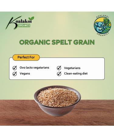Koalakoi ORGANIC Certified Spelt Grain (400g - 4.5kg | Premium non-GMO 100% Natural no Additives or Preservatives | Packed with fibre and minerals Perfect for home cooking and baking (400g) - Buy Online on GoSupps.com