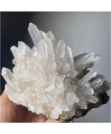 Crystal Rough 1pc Natural Rare White Quartz Crystal Cluster Specimen Decoration (Size : 450-500g) - Buy Online on GoSupps.com