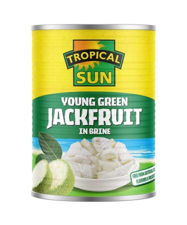 Tropical Sun Young Green Jackfruit in Brine 24 x 560g - Buy Online on GoSupps.com