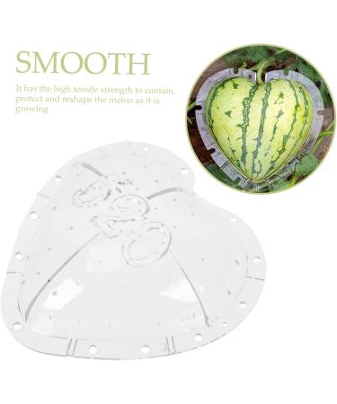 Gadpiparty Plant Vegetables Fruit for Outdoor Vegetable Pumpkin Watermelon - Buy Online on GoSupps.com