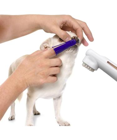 Rosixehird Catznock Brush Essential Puppy & Kitten Toothbrush & Toothpaste for Healthy Smiles | Pet Supplies for Home Clinics and Shelters - Buy Online on GoSupps.com