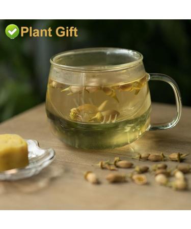 Buy Bergamot Flower Tea 80g | Natural Weight Loss & Skin Care Herbal Tea | Premium Chinese for Health Benefits - Buy Online on GoSupps.com