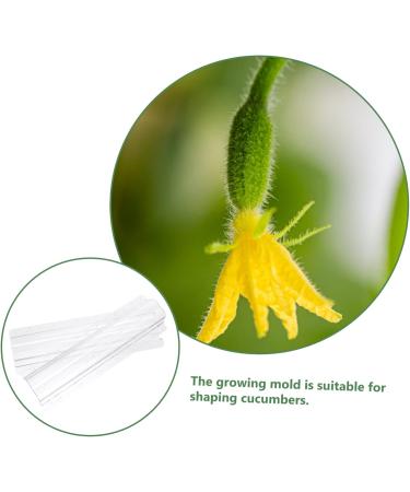 VANZACK Horticulture 3pcs Vegetable Shaping Mold Vegetables Growing Mold Shape Mold for Vegetable Flower Shape Watermelon - Buy Online on GoSupps.com