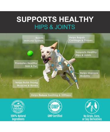 Daily Pet Care Hip and Joint Supplements For Dogs | Dog Joint Supplements to Reduce Stiffness and Improve Mobility with Organic Turmeric Glucosamine Chondroitin and Green Lipped Mussel For Dogs - Buy Online on GoSupps.com