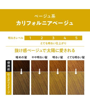 Prettia Kao Bubble Hair Color California Beige 8 oz - Imported from Japan - Buy Online on GoSupps.com