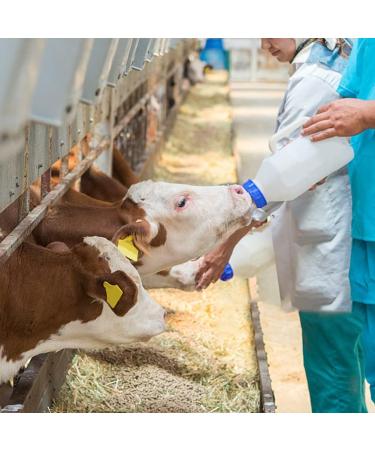 APlayfulBee Soft Silicone Goat Nipple 25Pcs - Blue | Farm Supplies for Sheep, Goat, Calf, Dog | Milk Bottle Topper for Efficient Feeding - Buy Online on GoSupps.com