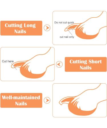 QttvbTna Pet Nail Clipper Cat and Small Animals Claw Scissors with Positioning Hole Pet Nail Trimmers Nail Scissors Pet Nail Grooming Clipper for Cat Tiny Dog Rabbits Birds and Other Small Animals - Buy Online on GoSupps.com