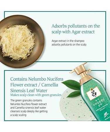 Ryo Scalp Deep Cleansing & Cooling Shampoo 500ml | Anti-Dandruff Excess Sebum Care & Natural Ingredients for Smelly Scalp - Buy Online on GoSupps.com