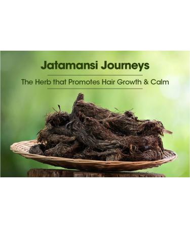 sm Racine de jatamansi 100 g Baalchadd racine de musc pis nardostachys tapasvini racine de jatamasi (lot de 1 x 100 g) - Buy Online on GoSupps.com