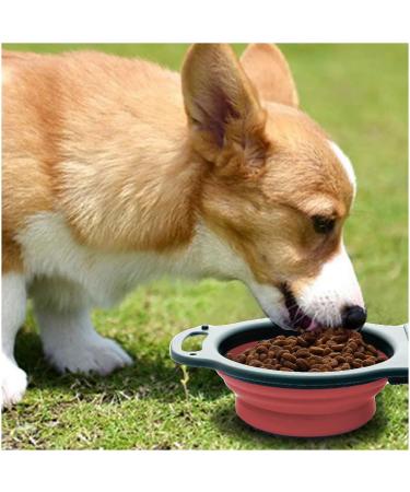 Collapsible Dog Bowls - 2 in 1 Portable Silicone Pet Bowl Expandable for Cat Dog Water Bowl Dish Feeding Portable Dog Bowl with Carabiners for Walking Parking (Pink) - Buy Online on GoSupps.com