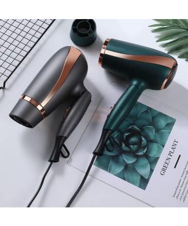 Professional Hair Dryer 2300W Ion Hair Dryer Salon Fast Hair Dryer 3 Heat Levels 2 Speeds and Cold Air (Brown) - Buy Online on GoSupps.com