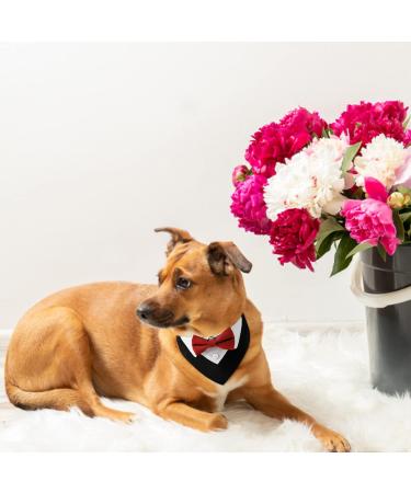 Buy Hacraho Formal Red Dog Smoking Band - Cotton Wedding Collar with Bowtie for Dogs & Cats | Perfect Pet Accessory - Buy Online on GoSupps.com