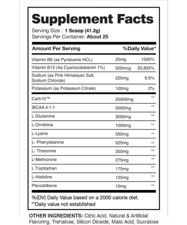 Rehab High Performance Intraworkout Formula - 10g BCAA & EAA | Keto Friendly | Enhance Recovery & Hydration | 25 Servings (Blueberry Lemonade - Buy Online on GoSupps.com