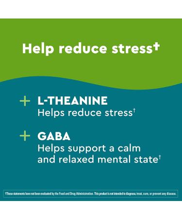 Nature Made Wellblends Stress Relief Gummies - Strawberry Flavor (40 Count) - Buy Online on GoSupps.com